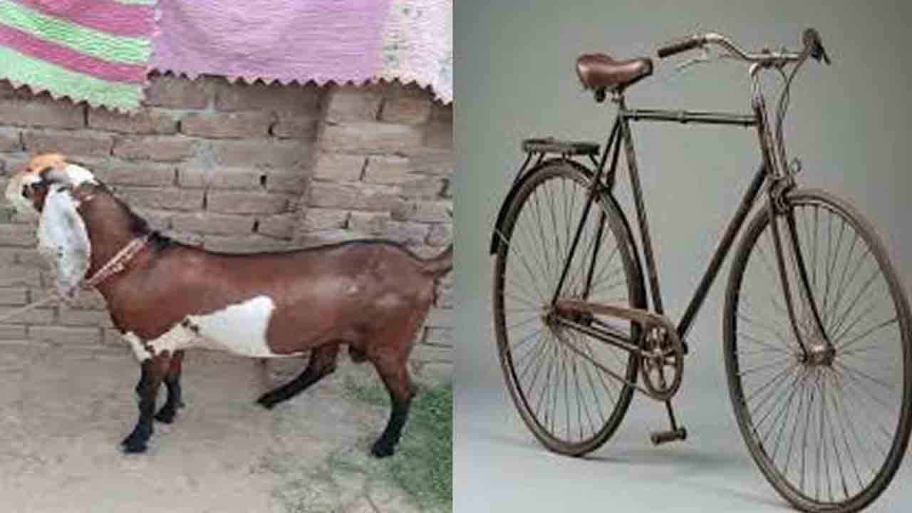 ...